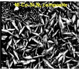 CORROSION AND TRIBOLOGY